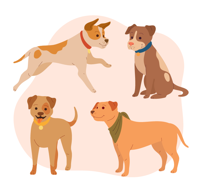 Política de Mascotas en Hotel Dorado Rionegro: Información Importante para Nuestros Huéspedes